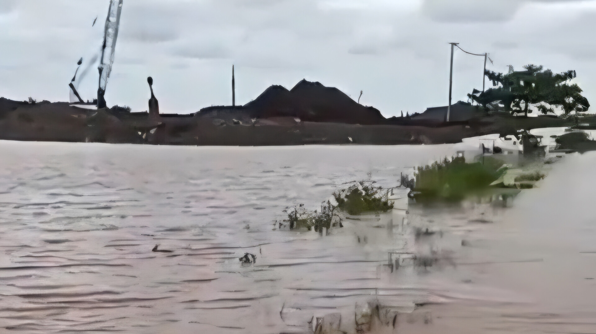 Dampak Aktivitas PT IPIP dan PT Vale, Ratusan Hektare Sawah Terancam Gagal Panen Akibat Terendam Banjir Lumpur